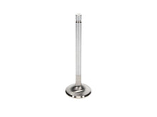 Load image into Gallery viewer, Manley Extreme Duty Stainless Steel Exhaust Valves  1.600, +.100 - Set of 8