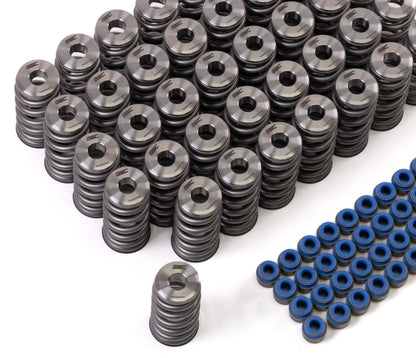 GSC P-D Audi R8 V10 / Lamborghini Huracan V10 5.2L Valve Spring & Ti Retainer Kit (w/Seats & Seals) GSC Power Division