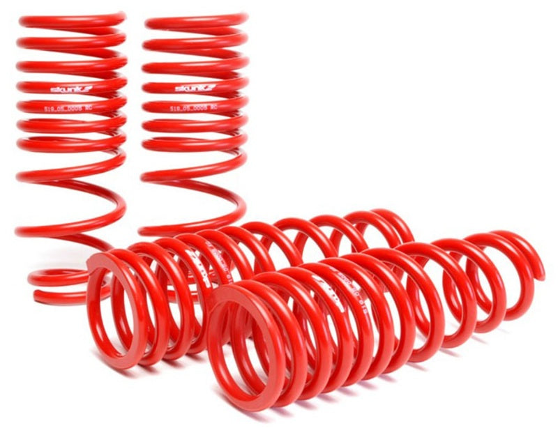 Skunk2 92-95 Honda Civic/Del Sol Lowering Springs (2.50in - 2.25in.) (Set of 4) - eliteracefab.com