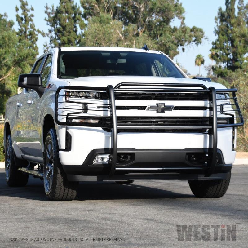 Westin 2019 Chevrolet Silverado 1500 Sportsman Grille Guard - Black Westin