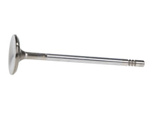 Load image into Gallery viewer, Manley Ford 4.6L 34mm Diameter 117.35mm Length Race Master Exhaust Valves (Set of 8)