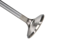 Load image into Gallery viewer, Manley Ford 6.2L 42mm Diameter 5.356in O/A Length Race Master Exhaust Valves (Set of 8)