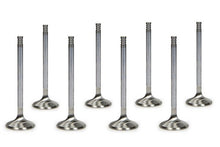 Load image into Gallery viewer, MANLEY 11622-8 Ford Coyote 5.0L DOHC 4 Valve 37mm Triple Groove Race Master Intake Valves (Set of 8) - eliteracefab.com