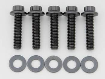 ARP Bolt Kit - 12 Point (5) 5/16-18 x 1.250 - eliteracefab.com