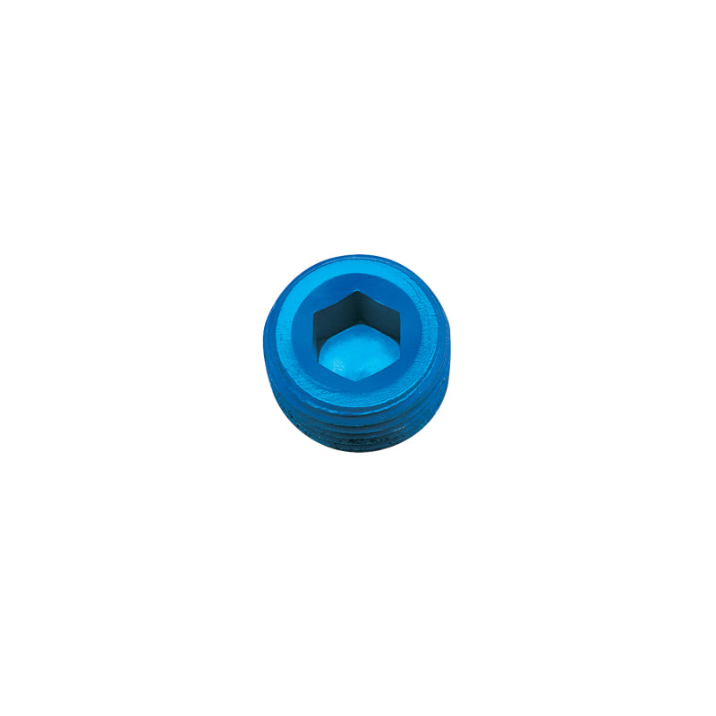 Russell 3/8 in NPT Allen Socket Pipe Plug Blue - 662050