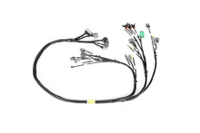 Load image into Gallery viewer, Rywire Honda B/D-Series Mil-Spec Engine Harness w/Chassis Specific Adapter - eliteracefab.com