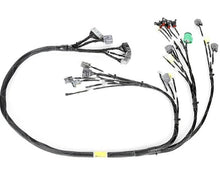 Load image into Gallery viewer, Rywire Honda B/D-Series OBD1 Tucked Budget Engine Harness w/Chassis Specific Adapter - eliteracefab.com