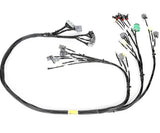 Rywire Honda B/D-Series OBD1 Tucked Budget Engine Harness w/Chassis Specific Adapter