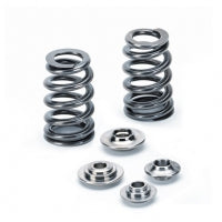 Supertech Ford/Mazda DURATEC 2.0L/2.3L Beehive Valve Spring Kit (Use OEM Retainer/OEM Seat) - eliteracefab.com