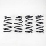 RS-R 2010-2015 Lexus RX350 AWD Down Sus Springs