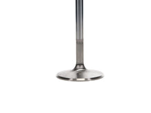 Load image into Gallery viewer, Manley Ford 351C 2.190 Inch Head Diameter / .341 Inch Stem / 5.244 Inch Length ( Set of 8)