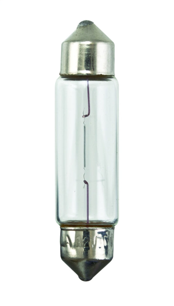 Hella Universal Clear 12V 10W 10x41mm T3.25 Bulb - eliteracefab.com