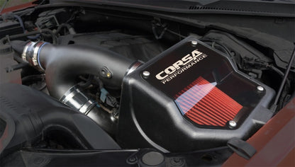 Corsa 15-19 Ford F150 2.7L & 15-16 3.5L Ecoboost V6 DryTech 3D Closed Box Air Intake 49627D