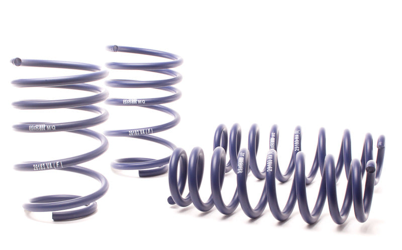 H&R 07-11 BMW 328i Sedan/335i Sedan E90 Race Spring - eliteracefab.com