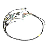 Rywire 13B Haltech Mil-Spec Eng Harness w/EV14 Inj/Denso 5th/6th Inj/Delphi Press Sensor/Bosch Knock