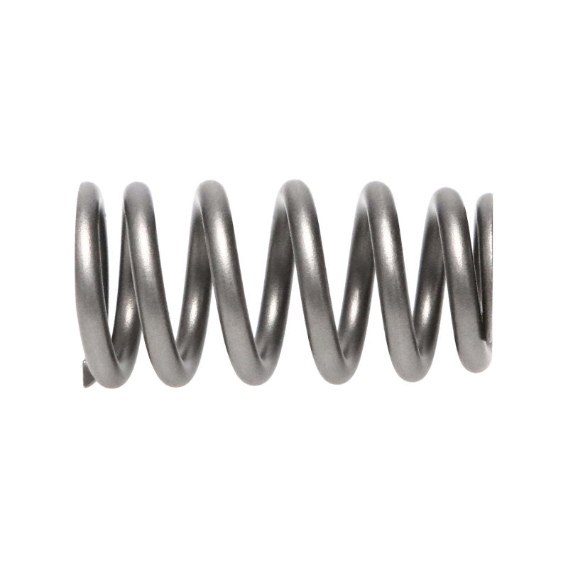 Manley Ford/Mazda 2.0L/2.3L/2.0L 16pc Valve Spring Kit Manley Performance