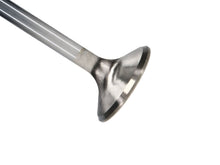 Load image into Gallery viewer, Manley Ford 351C 5.167 O/A Length 1.710 Dia Dish Severe Duty Exhaust Valves (Set of 8)