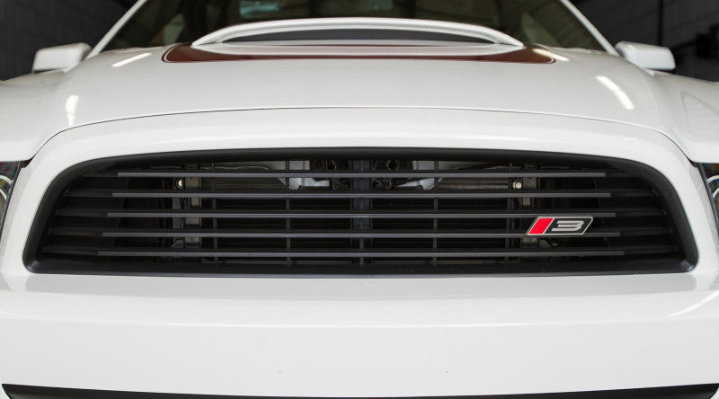 ROUSH 2013-2014 Ford Mustang 3.7L/5.0L Black Upper Grille Kit - eliteracefab.com