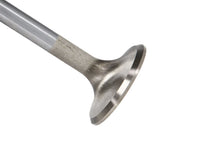 Load image into Gallery viewer, Manley SBC 1.600 Severe Duty Exhaust Valves (Set of 8)