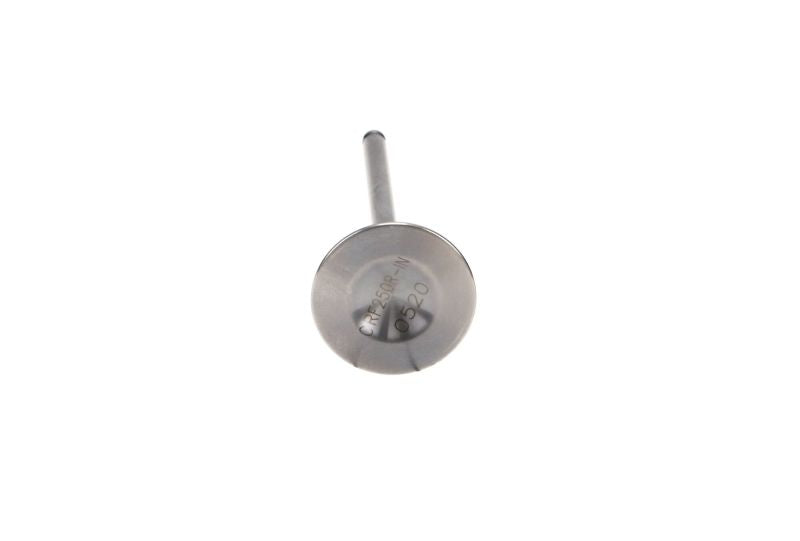 ProX 00-07 TT-R125/YBR125 Steel Intake Valve