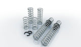 Eibach Pro-UTV 14-16 Polaris RZR XP 4 1000 EPS Stage 3 Performance Springs