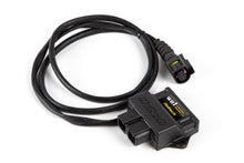 Load image into Gallery viewer, Haltech WB1 Single Channel CAN O2 Wideband Controller Kit - eliteracefab.com