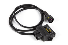 Haltech WB1 Single Channel CAN O2 Wideband Controller Kit - eliteracefab.com