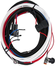 Load image into Gallery viewer, Rigid Industries 25in Harness with 3 position switch use with D/ SRM or SRQ for Back up Lights - eliteracefab.com