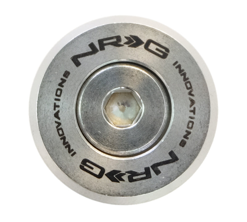 NRG M Style Fender Washer Kit TI Series M6 Bolts For Metal (Silver Washer/Silver Screw) - Set of 10 - FW-380SS