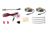 Diode Dynamics RGBW Footwell Strip Kit 2pc Multicolor