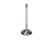 Load image into Gallery viewer, Manley Toyota 1FZFE 34mm Race Master Exhaust Valves (Set of 12)