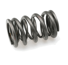 Load image into Gallery viewer, Brian Crower Dual Valve Springs Honda Acura K20A2 K20A K20Z - eliteracefab.com