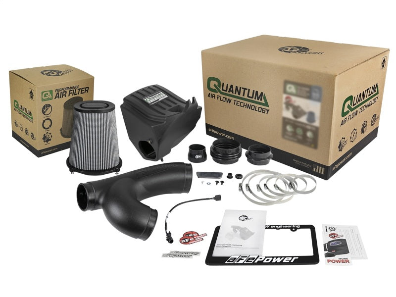 aFe Quantum Pro DRY S Cold Air Intake System 15-18 Ford F150 EcoBoost V6-3.5L/2.7L - Dry - eliteracefab.com