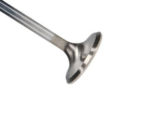 Load image into Gallery viewer, Manley SBC 1.600 Severe Duty Exhaust Valves (Set of 8)