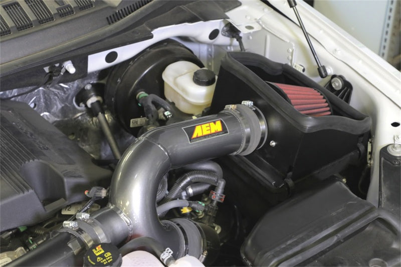 AEM 17-18 Ford F-150 3.5L V6 F/I Gunmetal Gray Cold Air Intake - eliteracefab.com