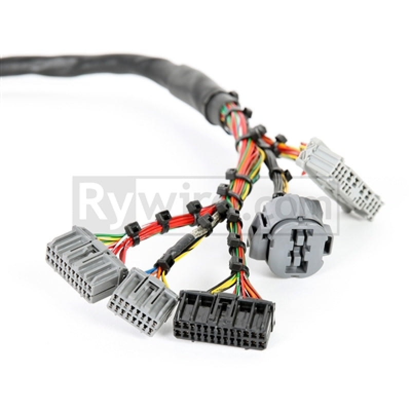 Rywire Honda B-Series Mil-Spec Eng Harness w/OBD2 Dist/Inj/Alt & OBD1 92-95 ECU Plugs (Adapter Req) - eliteracefab.com