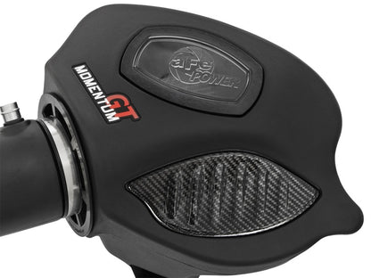 aFe Momentum GT Pro DRY S Cold Air Intake System 16-17 BMW M2 (F87) L6 3.0L (t) N55 - eliteracefab.com