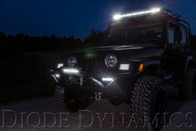 Load image into Gallery viewer, Diode Dynamics 12 In LED Light Bar Single Row Straight Clear Flood (Pair) Stage Series
