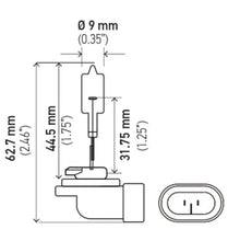 Load image into Gallery viewer, Hella Bulb 862 12V 37.5W PGJ13 T3.25