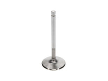 Load image into Gallery viewer, Manley Ford 351C 2.190 Inch Head Diameter / .341 Inch Stem / 5.244 Inch Length ( Set of 8)