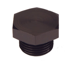 Load image into Gallery viewer, Aeromotive 15617 -10 AN ORB Port Plug Fitting - eliteracefab.com