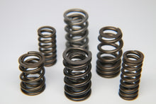 Load image into Gallery viewer, Ferrea MINI Cooper Dual Valve Spring - Set of 16