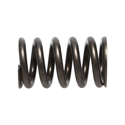 Manley Honda (K20A3 K24A) 16pc Valve Springs Manley Performance