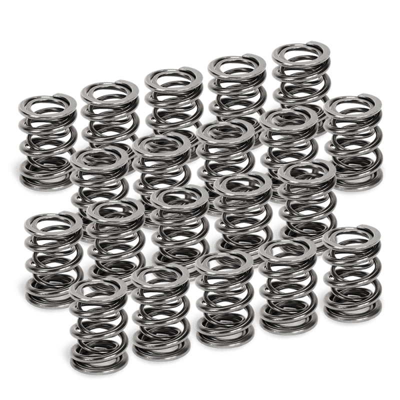 Supertech VW VR6 Dual Valve Spring - Set of 20 Supertech