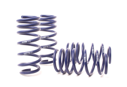 H&R 13-18 BMW M6/M6 Convertible F12/F13 Sport Spring - eliteracefab.com