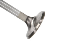 Load image into Gallery viewer, Manley Ford 2300 1.590 in Esslingerin Race Master Exhaust Valve - Single