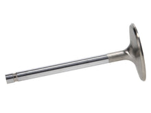 Load image into Gallery viewer, Manley Big Block Chevy Stock 3/8in Stem Diameter Severe Duty Intake Valves (Set of 8)