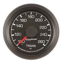 Load image into Gallery viewer, AutoMeter GAUGE; TRANS TEMP; 2 1/16in.; 100-260deg.F; STEPPER MOTOR; FORD FACTORY MATCH Ford 1999-2007 - eliteracefab.com