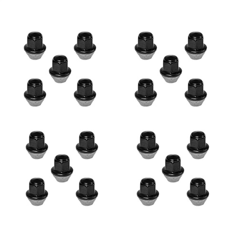 Ford Racing 15-18 Mustang Black Lug Nut Kit (20 Lug Nuts) - eliteracefab.com