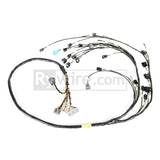 Rywire 05-06 Honda K-Series Mil-Spec Engine Harness w/OBD2 05-06 RSX K20 Sensors (Front VSS)